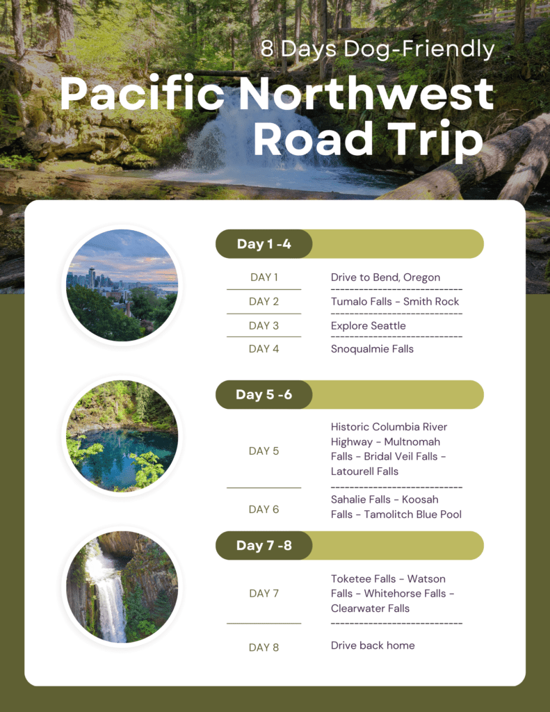 Road Trip in the Pacific Northwest with a Dog - A Teaspoon of Travel